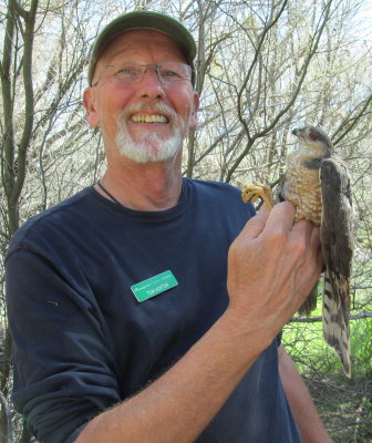 Your Host and Sharp-shinned Hawk