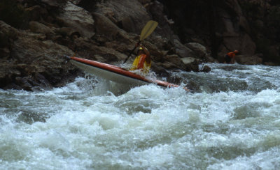 Bobbe on Browns Canyon