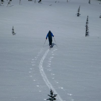 ski tracks 2.jpg