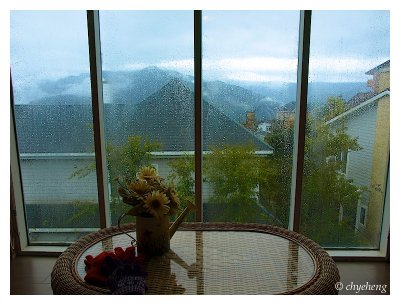 美麗的落地窗景