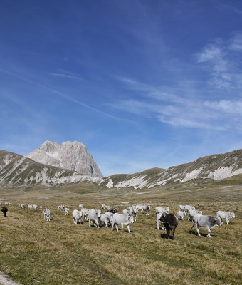 Gran Sasso da Campo Imperatore