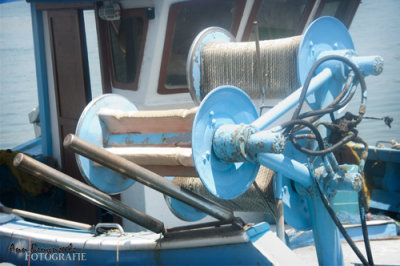 DSC_1400em.jpg