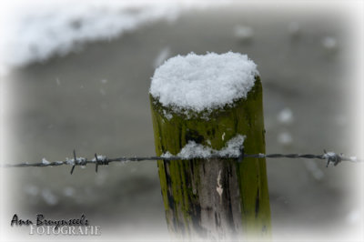 DSC_6745em.jpg