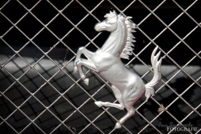 DSC_4465em.jpg