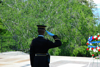 Tomb of the Unkowns Salute