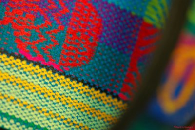 Color & Texture