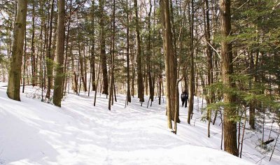 A covered Path