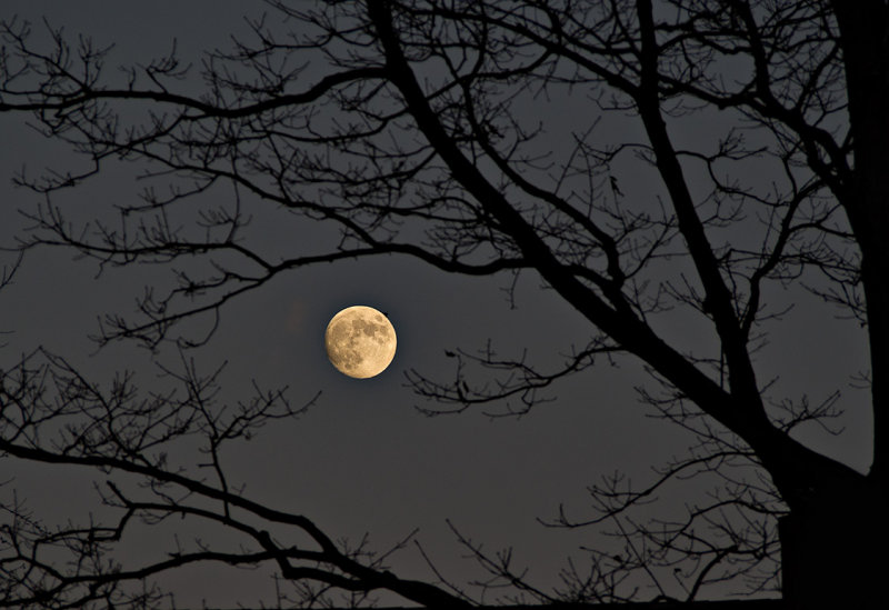 Waxing Gibbous Moon
