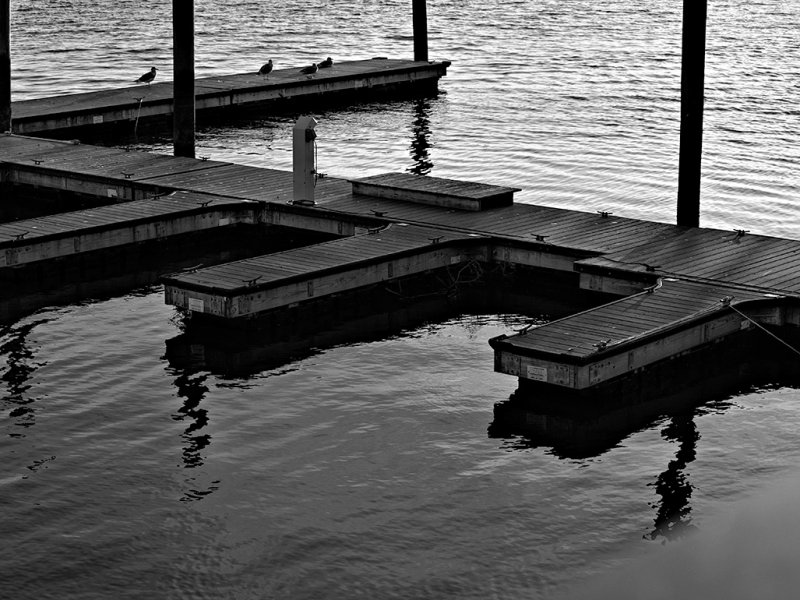 2013 January Challenge B&W #16
