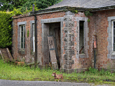 Killeagh Railway Station #5