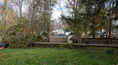 Storm Sandy, the day after  (1 of 3)