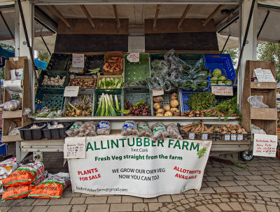 Farmer's Market