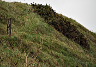 An Irish slope