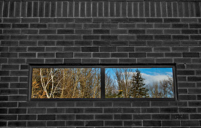 2013 January Challenge B&W #26 - This was taken outside of a wall, which has a mirror reflecting window. Note added 1/27/12