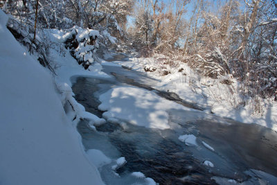 7933 Frozen River