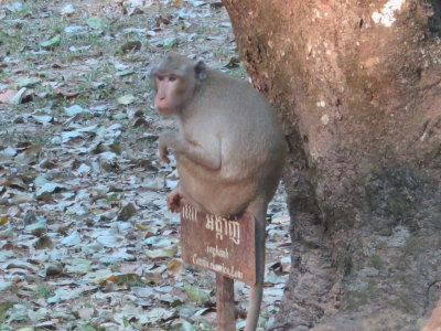 Angkor Thom