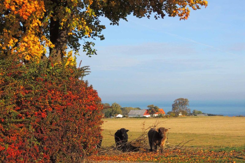 Autumn on Bornholm