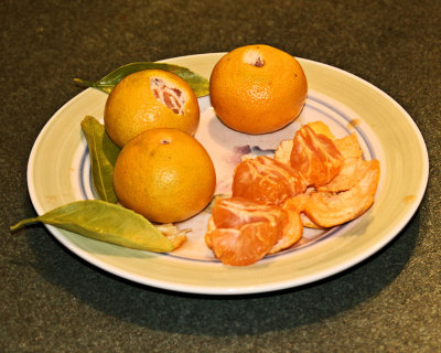 Satsuma Oranges - 25 Oct 2012 - IMG_0223