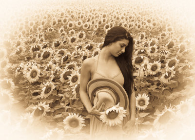 Natasha Sunflower Field