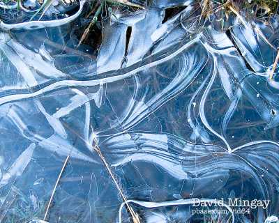 Jan 20: Ice