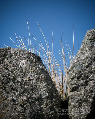 Mar 30: Blue sky rocks