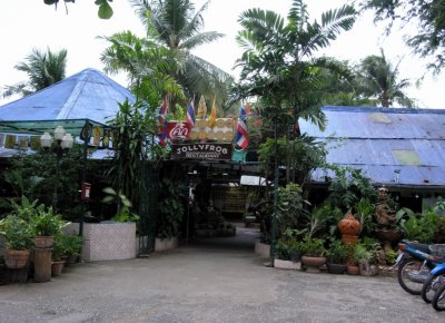 Jolly Frog - Kanchanaburi