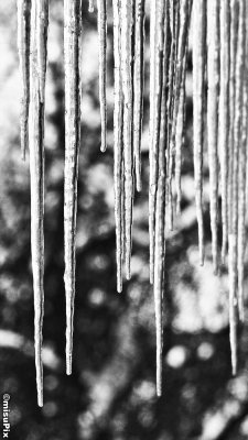 024-2013 Icicles