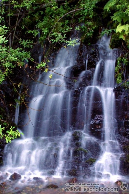 Tranquail Falls