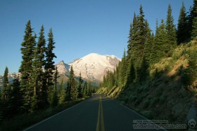 Road to Rainier