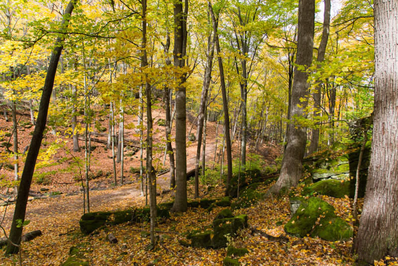 Dundas Conservation Area