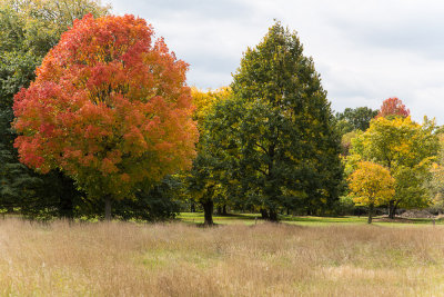 Royal Botanical Gardens