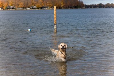 Eugenia Lake