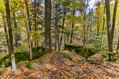 Dundas Conservation Area