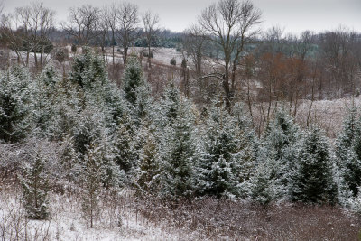 First snowfall