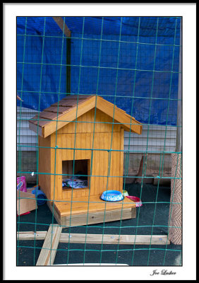 the_cathouse
