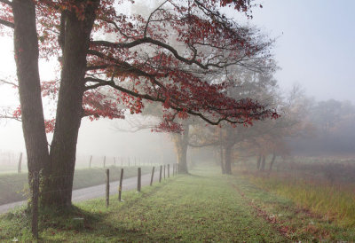 Autumn In The Cove III