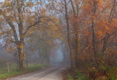 More Cades Cove Color