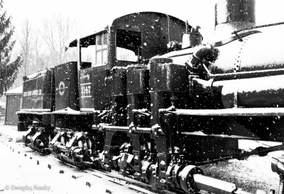 Dorothy II