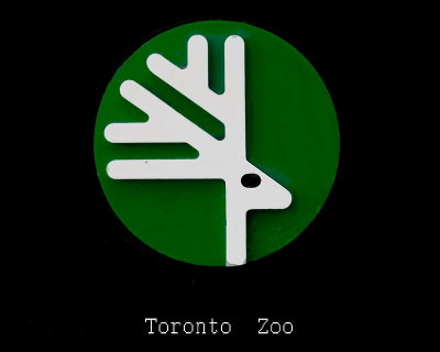 TORONTO  ZOO