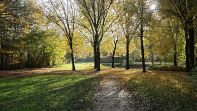 The Park opposite my sisters in Hoorn....the Netherlands....