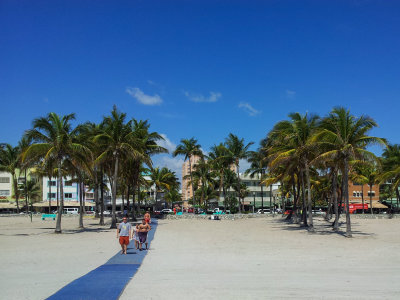 Miami 36 