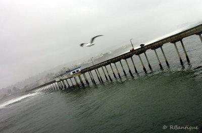 2005