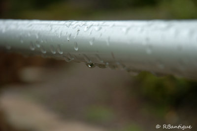 water droplets on a pipe