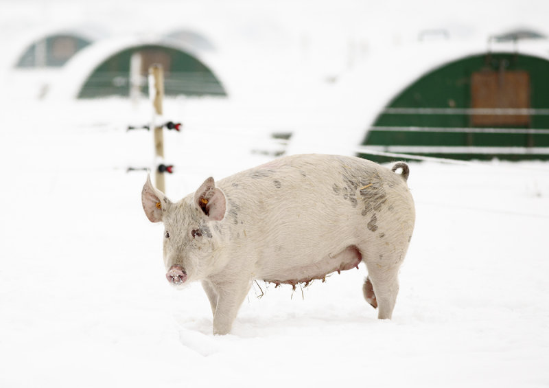 Why are you stood there freezing, taking my photo?
