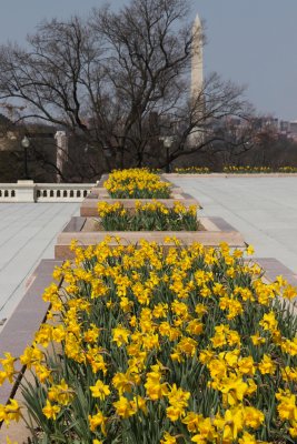IMG_9381.jpg