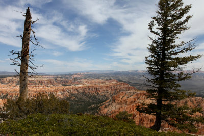 IMG_0090.jpg