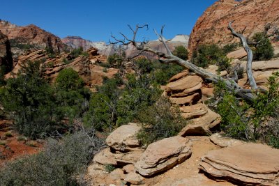 Canyon Overlook