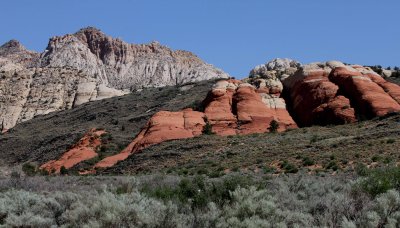 IMG_9626.jpg