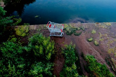 Shopping Cart