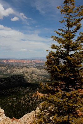IMG_0167.jpg